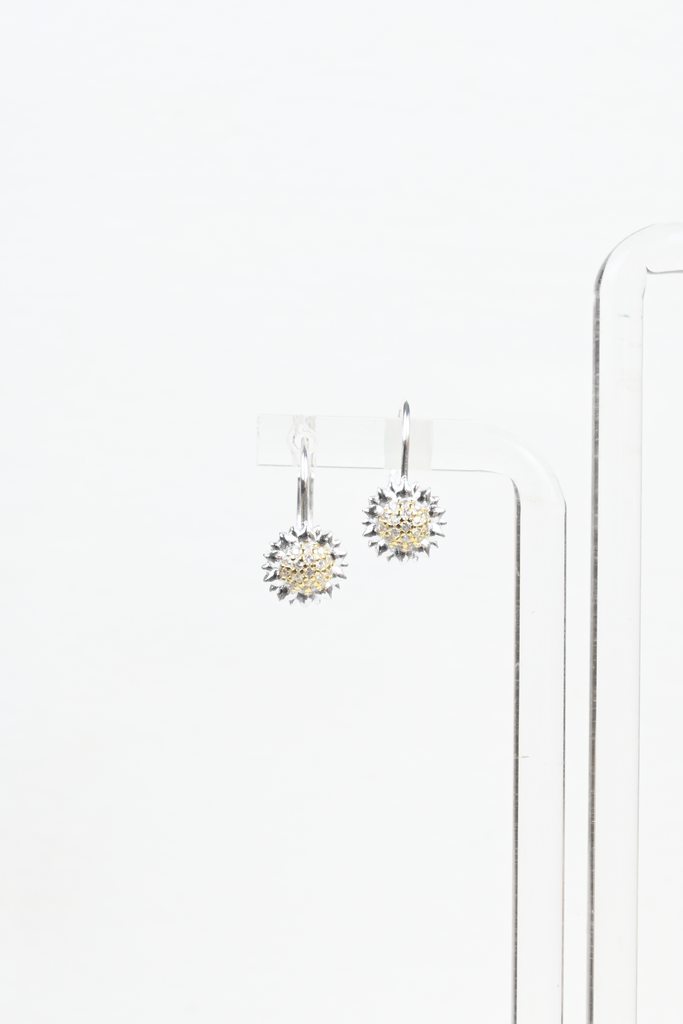 Aretes Shinelia